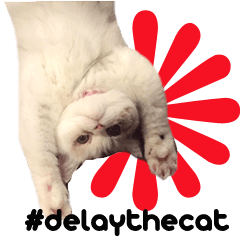 [LINEスタンプ] Delay and the Ghost Catsの画像（メイン）