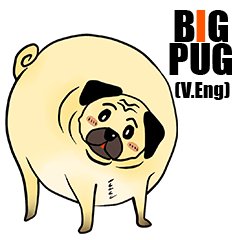 BIG PUG (English Version)