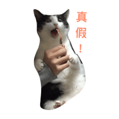 [LINEスタンプ] guggimeow