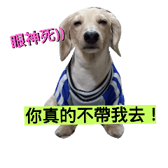 [LINEスタンプ] strange dachshund