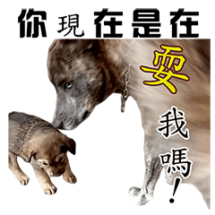 [LINEスタンプ] Hairy children's ruthless ！？