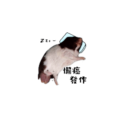 [LINEスタンプ] Cats and hamsters everyday