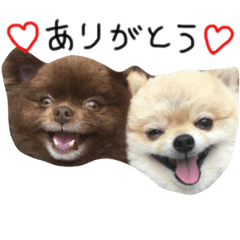 [LINEスタンプ] きなここあ