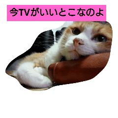 [LINEスタンプ] けんたくんとみんなちゃん