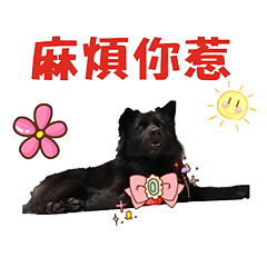 [LINEスタンプ] Domineering black girl Mi De