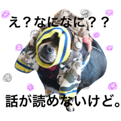 [LINEスタンプ] てぃぐる.市