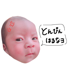 [LINEスタンプ] hisura stamp