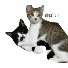 [LINEスタンプ] ぐりとれん