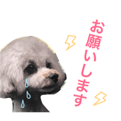 [LINEスタンプ] モコちゃん スタンプ