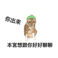 [LINEスタンプ] Kimi Cat