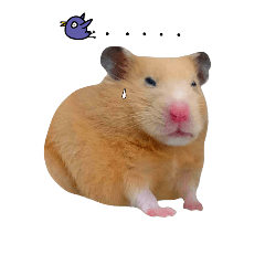 [LINEスタンプ] Hamsterland