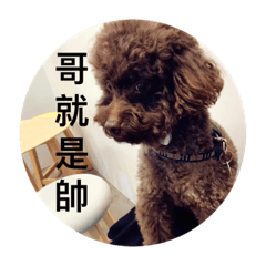 [LINEスタンプ] MyQDoggggg