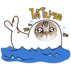 [LINEスタンプ] Sea-cat
