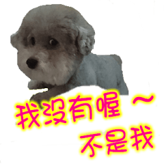 [LINEスタンプ] DEAR PUPPY GO GO