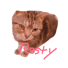 [LINEスタンプ] Rasty