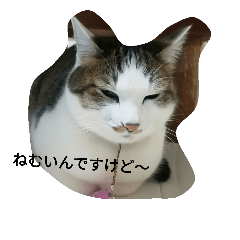 [LINEスタンプ] nemui  neko