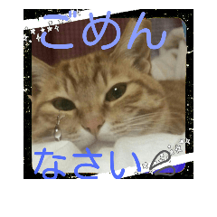 [LINEスタンプ] 戸塚猫たん