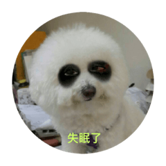 [LINEスタンプ] this is my dog baby