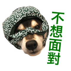 [LINEスタンプ] Shibainu Beer