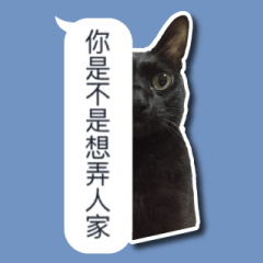 [LINEスタンプ] LazyFatBlackCat 3 - Conversation