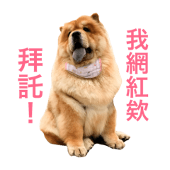 [LINEスタンプ] Chowchow Polly 4