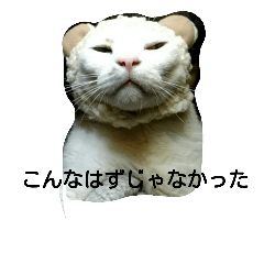 [LINEスタンプ] ねこ123