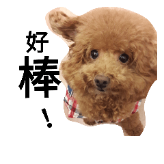 [LINEスタンプ] Dogs say