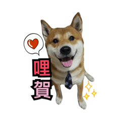 [LINEスタンプ] Shiba dobby