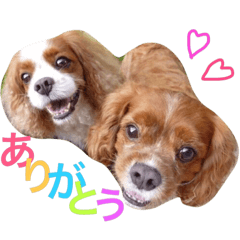 [LINEスタンプ] まろんとれい