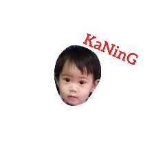 [LINEスタンプ] NaM ＆ KaNinG