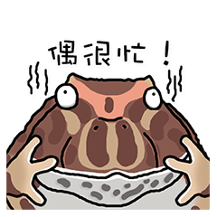 [LINEスタンプ] Cunning frog expression diagram IX