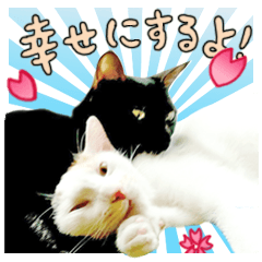 [LINEスタンプ] 愛猫/ラブラブ (Japan)