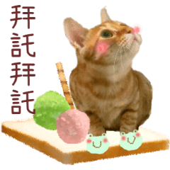 [LINEスタンプ] LITTLE CAT~TANGYUAN