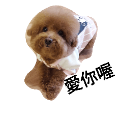 [LINEスタンプ] Poodle  dog say