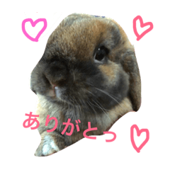 [LINEスタンプ] うさぎの不二子 4