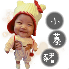[LINEスタンプ] Cute Girl Small Zhen Pig
