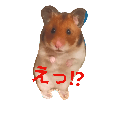 [LINEスタンプ] まいにちラッキー