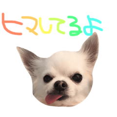 [LINEスタンプ] hachi88888