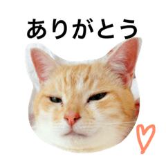 [LINEスタンプ] うぶにゃん1