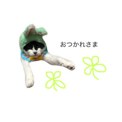 [LINEスタンプ] yomo's sticker 2