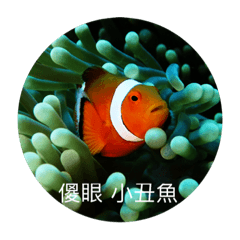 [LINEスタンプ] dumbfounded under the sea