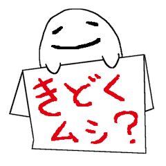 [LINEスタンプ] アザラシたちと白い箱 日常でつかえる