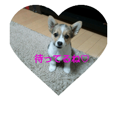 [LINEスタンプ] 愛梨とキラ