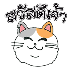 [LINEスタンプ] Hello Chubby Cat