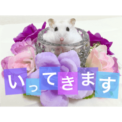 [LINEスタンプ] ハムスターの使える日常会話