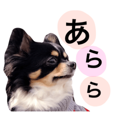 [LINEスタンプ] トラとコテツ。3