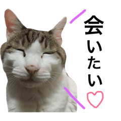 [LINEスタンプ] くうたろとおかかのすたんぷ5