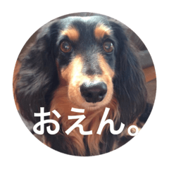 [LINEスタンプ] Dog/Okayama