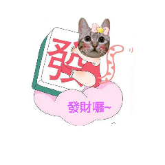 [LINEスタンプ] Crazy  Cat