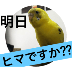 [LINEスタンプ] 日常的なコミュニティ